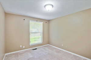 Unfurnished room featuring a textured ceiling and light colored carpet