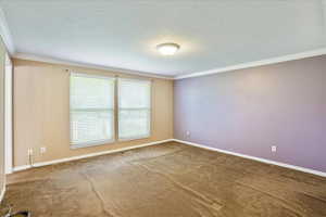 Empty room with ornamental molding, a textured ceiling, and carpet flooring