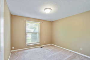 Unfurnished room featuring light carpet and a textured ceiling