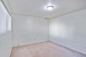 Unfurnished room featuring light carpet and a textured ceiling