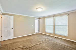 Carpeted spare room featuring ornamental molding and a textured ceiling