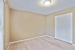 Unfurnished bedroom with a closet, carpet flooring, and a textured ceiling