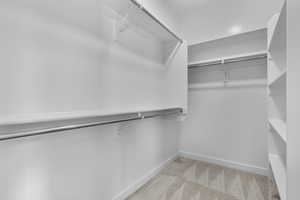 Walk in closet with light colored carpet