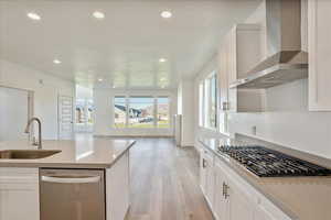 Kitchen featuring wall chimney exhaust hood, white cabinetry, stainless steel appliances, and sink