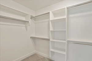 Spacious closet featuring light colored carpet