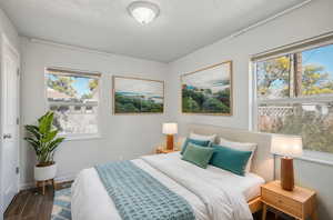 Bedroom featuring multiple windows and dark wood-type flooring