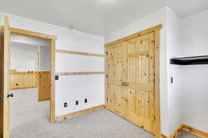 Carpeted empty room featuring wood walls