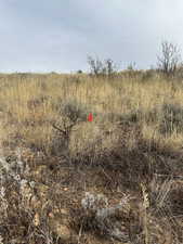 Lot 436 SW Corner Marker on Pine Canyon