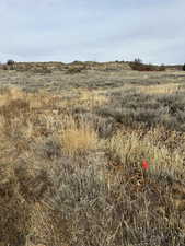 Lot 438 SE Corner Marker on Pine Canyon