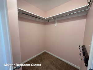 Spacious closet featuring carpet floors