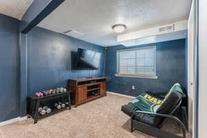 Living room with carpet and a textured ceiling