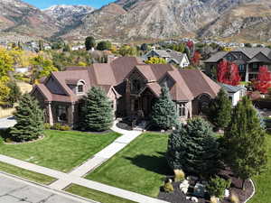 Drone / aerial view featuring a mountain view