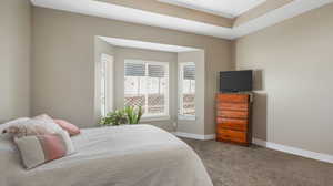 Primary Bedroom with Tray Ceiling