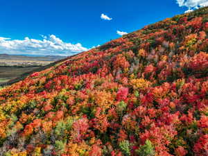 The Preserve Fall Foliage