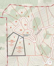 1975 and 2063 Blue Grouse Lane Map