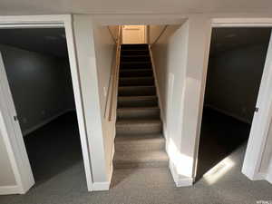 Staircase with carpet with view looking into 2 downstairs bedrooms