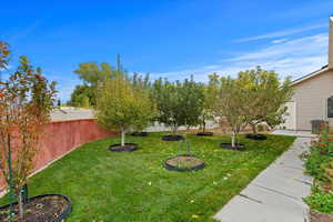 Mature Lanscaping with Pears Apples and Peaches