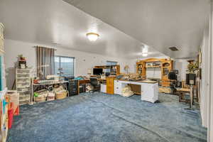 Big carpeted family room