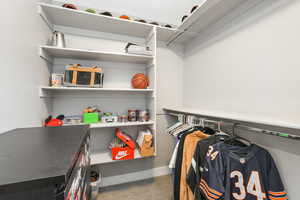 Spacious closet with carpet