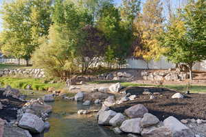 View of backyard stream