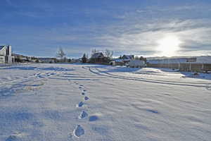 View of yard layered in snow