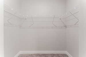 Spacious closet with carpet flooring
