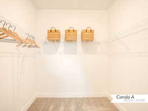 Spacious closet featuring carpet floors