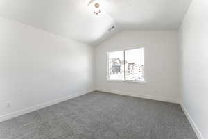 Bonus room with carpet floors, lofted ceiling, and a textured ceiling