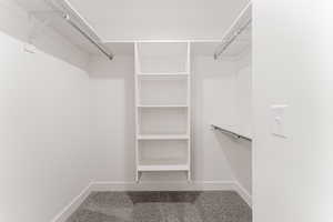 Walk in closet with carpet flooring