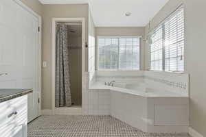 Bathroom with vanity and separate shower and tub