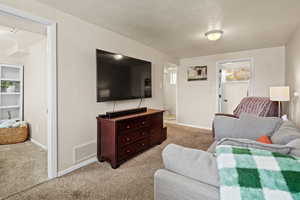 Carpeted living room featuring a textured ceiling