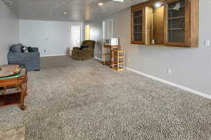 Living area featuring a textured ceiling and carpet