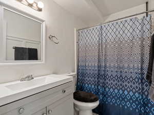 Bathroom with vanity, toilet, and walk in shower