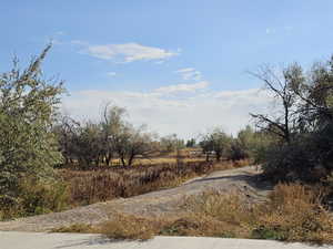 View of road