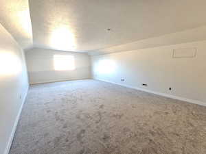 Additional living space featuring vaulted ceiling, a textured ceiling, and carpet floors