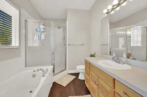 Full bathroom featuring vanity, plus walk in shower, hardwood / wood-style floors, and toilet