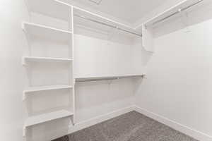 Spacious closet featuring carpet floors