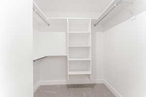 Walk in closet featuring carpet floors