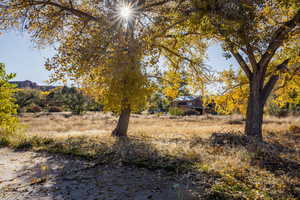 View of nature