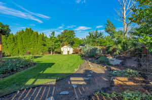 Backyard w/ mini pond