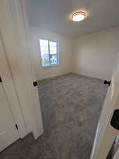 View of carpeted spare room