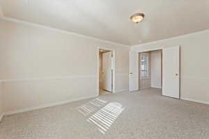 Interior space with light carpet, crown molding, and a textured ceiling