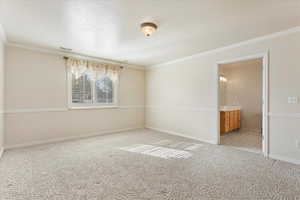 Spare room with crown molding, light carpet, and a textured ceiling