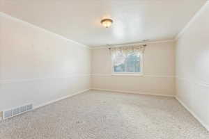 Carpeted spare room featuring ornamental molding and a textured ceiling