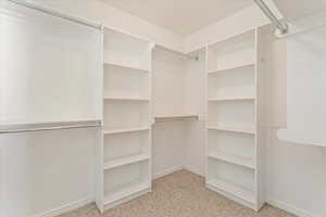 Spacious closet featuring light carpet