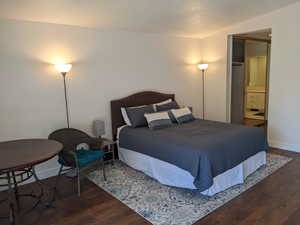 Master bedroom on main floor with connected bathroom and dark wood-type flooring