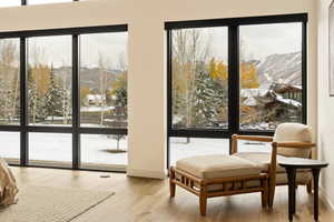 Entryway with a wealth of natural light and light wood-type flooring