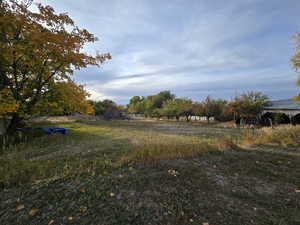 View of yard with a rural view