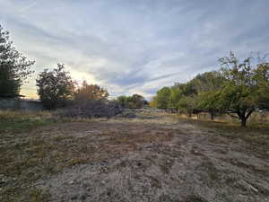 Yard at dusk with a rural view