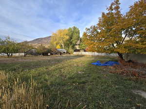 View of yard with a mountain view